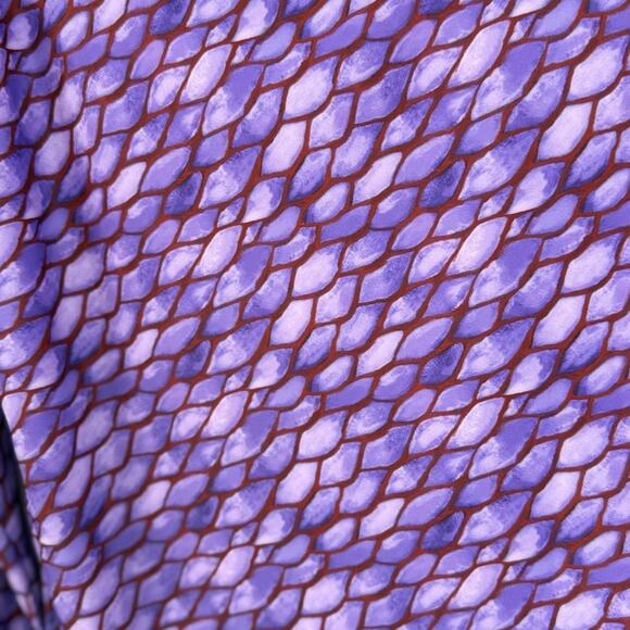 NWOT Mott 50 Lucia Second Skin Purple Swimsuit – Sz S - Picture 10 of 10